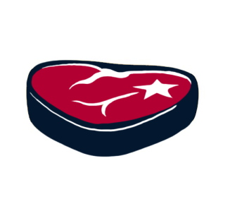 Houston Texans Fat Logo fabric transfer